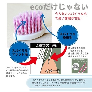 歯ブラシ お米歯ブラシ ライスクリーン ふつう 6本 【3色×2本】お米でできた歯ブラシ オーラルケア ハブラシ 山陽物産｜B439