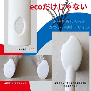 歯ブラシ お米歯ブラシ ライスクリーン ふつう 6本 【3色×2本】お米でできた歯ブラシ オーラルケア ハブラシ 山陽物産｜B439
