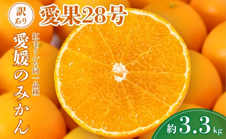 愛果28号 約3.3kg ご家庭用 みかん 紅まどんなと同品種 柑橘 愛媛 【2026年11月下旬から順次発送予定】 先行予約 数量限定 人気 伊予市|B456