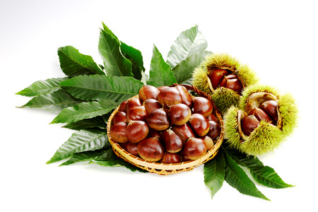 栗 大粒！幅40mm程度サイズ3.6k 取り扱いの難しい無燻蒸で熟成させた生