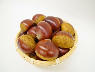 0.65号 フラワー・ガーデニング アリエル♪**さまご予約専用 大分県産 銀寄