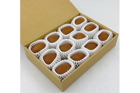 キウイ 愛媛 サンゴールドキウイ ゴールドキウイ 10～12玉入り 【11月中旬から順次発送予定】 数量限定 伊予市｜B470