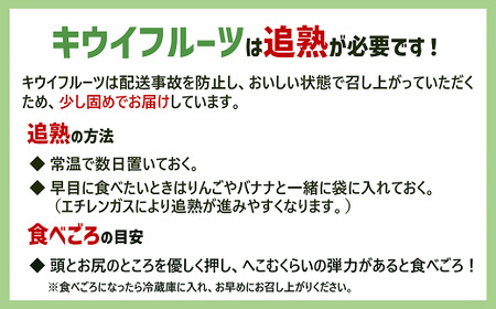キウイ 愛媛 サンゴールドキウイ ゴールドキウイ 10～12玉入り 【11月中旬から順次発送予定】 数量限定 伊予市｜B470
