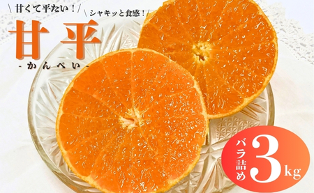 みかん 愛媛 甘平 3kg バラ詰め ご家庭用 農園直送 先行予約 【2027年1月中旬から順次発送予定】 愛媛県産 数量限定 人気 柑橘 伊予市｜B518