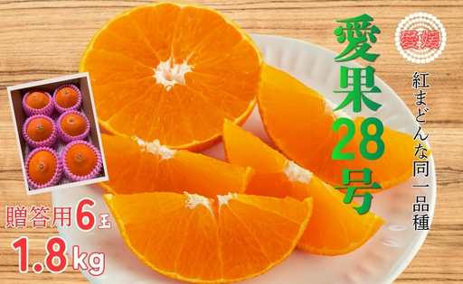 みかん 愛果28号 1.8kg 6玉 贈答用 紅まどんな同一品種 先行予約 【2026年12月以降順次発送予定】 愛媛 数量限定 愛媛県産 人気 柑橘 フルーツ 国産 おすすめ 伊予市｜B534