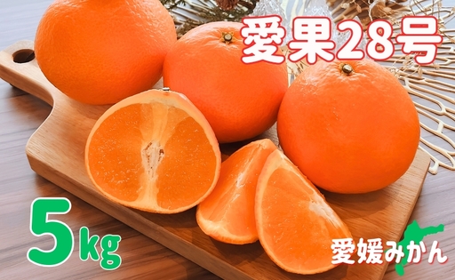 みかん 愛媛 愛果28号 紅まどんなと同一品種 5kg 家庭用 人気 数量限定 先行予約 柑橘 伊予市【2026年11月下旬以降順次発送】｜C120