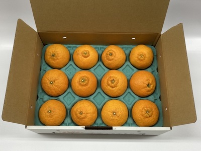 デコポン 2.4kg みかん 愛媛 【2026年3月上旬から順次発送予定】 人気 数量限定 先行予約 柑橘 伊予市｜B32