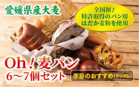 パン 無添加 老舗 6～7個セット ブレッド おまかせ ランダム 詰め合わせ ブランド認定 学校給食 朝食 朝ごはん 季節 おすすめ はだか麦 国産小麦 国産素材 おやつ こだわり 食物繊維豊富 安心 安全 篠崎ベーカリー 愛媛 伊予市 ｜B67