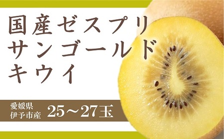 キウイ 愛媛 サンゴールドキウイ 25~27玉入り 数量限定 伊予市｜B90