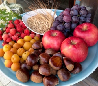 道後ジン 六媛 クラフトジン スピリッツ 愛媛県産 ボタニカル 500ml|C02