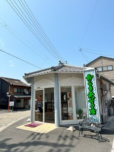 がんす 冷凍 10枚 おつまみ 練り物 からき天ぷら店 | B144