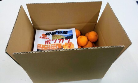 訳あり ポンカン 5kg ご家庭用 みかん 人気 数量限定 先行予約 柑橘 伊予市 【2026年1月中旬以降順次発送】|B147