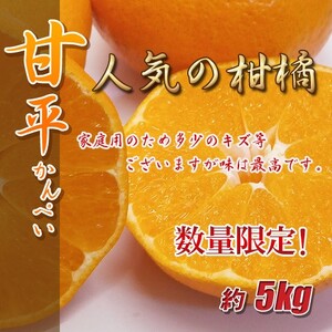愛媛県産　甘平　少し訳あり　箱込み約5kg柑橘　ミカン
