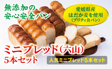 食パン 無添加 5本 六山 篠崎ベーカリー ミニサイズ 伊予市 老舗 ミニブレッド | B166