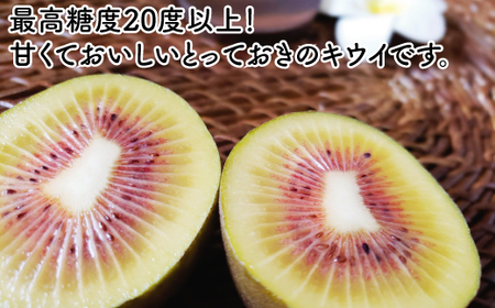 ＜10月下旬以降発送＞【ぽぽ農園】【訳あり・ご自宅用】レインボーレッドキウイ（四国中央市産レインボーレッド） Lサイズ 約2kg（17個～21個）