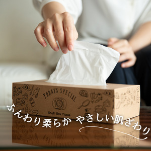 ティッシュ エルモア ボックスティッシュ ティッシュペーパー 60箱 5個ポリ×12パック ティシュー 日用品 消耗品 備蓄 防災 Kazaru×Krafty ラインアート ふるさと納税 送料無料 愛媛県 四国中央市
