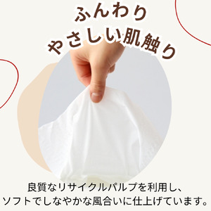 ティッシュペーパー ティッシュ ソフトパック イットコ 400枚 200組 40パック 再生紙 ティシュー エコ シンプル  ダブル 日用品 消耗品 備蓄 防災 送料無料 愛媛県 四国中央市