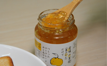 愛媛の夏橙（なつみかん）だけでつくった マーマレード 3個セット