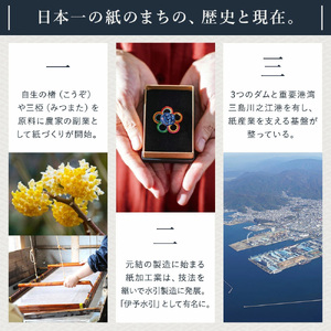 【3ヶ月ごとに3回お届け 定期便】 ルミネフローリー200W5P 12パック入