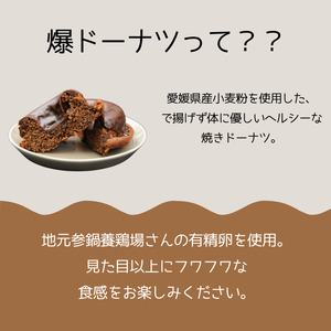 爆ドーナツ堪能ギフトセット チョコ