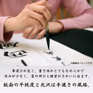 書道半紙 漢字・仮名用詰めあわせ