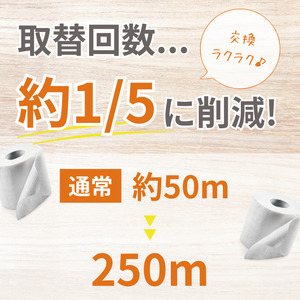トイレットペーパー シングル 250m　半年トイレットロールボックス