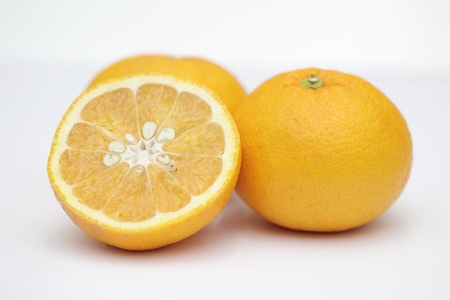 甘夏 5kg 愛媛県 秀品 四国中央市産 送料無料 果物 フルーツ