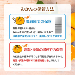 甘夏 5kg 愛媛県 秀品 四国中央市産 送料無料 果物 フルーツ