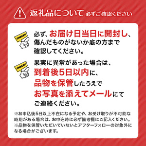 甘夏 5kg 愛媛県 秀品 四国中央市産 送料無料 果物 フルーツ