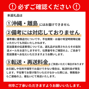 エルモア不織布マスク普通サイズ30枚×3箱【90枚】