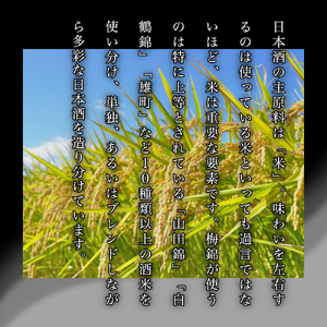 梅錦　大吟醸セット