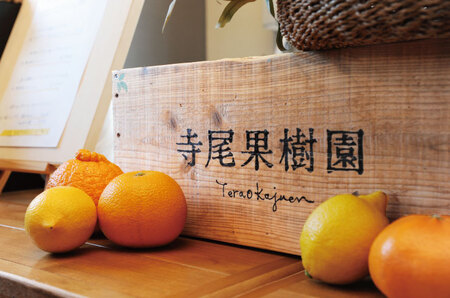 ブラッドオレンジ(タロッコ) 赤秀品 3kg(土居町天満産)