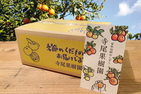 檸檬 特秀品3kg（土居町天満産）