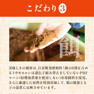 熊福こだわり美豊卵 30個×2箱