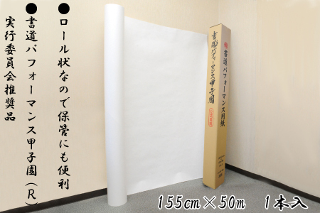 書道パフォーマンス用紙