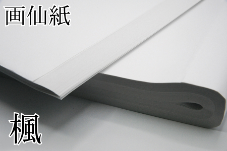 画仙紙練習用！