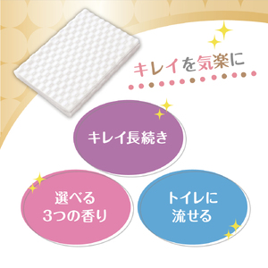 キレキラ！トイレクリーナー1枚で徹底お掃除シート　ハッピーローズつめかえ用20枚×12パック