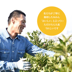 せとかジュース（ストレート）720ml×3本