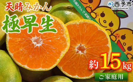 ＜天晴みかん 極早生 ご家庭用 約15kg＞ 柑橘 果物 フルーツ オレンジ 株式会社笑丸 ニコマル 期間限定 季節限定 食べて応援 特産品 温州みかん 家庭用 のし対応可 ジャム サラダ 愛媛県 西予市【常温】『2026年9月下旬～10月中旬迄に順次出荷予定』AAN0026