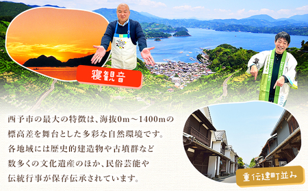 先行予約＜愛媛県明浜産 天晴みかん（温州みかん）約2kg＞ 家庭用 訳あり ワケアリ 自宅用 果物 くだもの フルーツ ミカン 柑橘 株式会社笑丸 食べて応援 特産品 産地直送 愛媛県 西予市【常温】『2025年11月中旬～2026年1月上旬迄に順次出荷予定』AAN0030