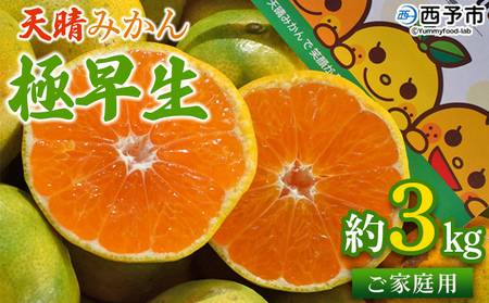 ＜天晴みかん 極早生 家庭用 約3kg＞ 温州ミカン 柑橘 果物 くだもの フルーツ 蜜柑 訳あり ワケアリ 自宅用 期間限定 季節限定 食べて応援 特産品 産地直送 ニコマル 株式会社笑丸 愛媛県 西予市【常温】『2026年9月下旬～10月中旬迄に順次出荷予定』AAN0023