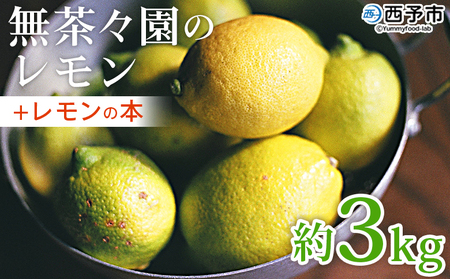 <無茶々園のレモン 約3kg+レモンの本> フルーツ 果物 くだもの れもん 檸檬 柑橘 香酸柑橘 国産 無茶々園 特産品 愛媛県 西予市【常温】『2026年1月~3月に順次出荷予定』AMC0031