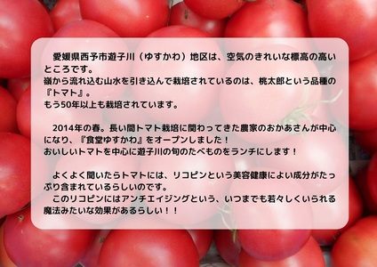 人気No.１！トマト６個がギュギュッと詰まった添加物不使用こどもケチャップ４個セット SYR0003