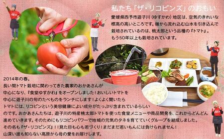 ＜人気No.1！トマト6個がギュギュッと詰まった こどもケチャップ 4個セット 添加物不使用＞ とまと 無添加 完熟 調味料 子供 パスタソース 詰め合わせ ギフト 食べて応援 国産 遊子川ザ・リコピンズ 愛媛県 西予市【常温】『最短10営業日以内に発送予定』 SYR0003