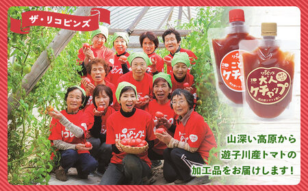 ＜親子で使える こども＆大人ケチャップ 食べ比べセット 合計4個（各種2個）＞ とまと 野菜 完熟 調味料 子供 パスタソース 辛口 詰め合わせ ギフト 食べて応援 国産 特産品 遊子川ザ・リコピンズ 愛媛県 西予市【常温】『最短10営業日以内に順次発送予定』 SYR0005