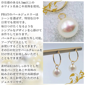 明浜産あこや真珠8.5mm K18Ygフープピアス APR0002