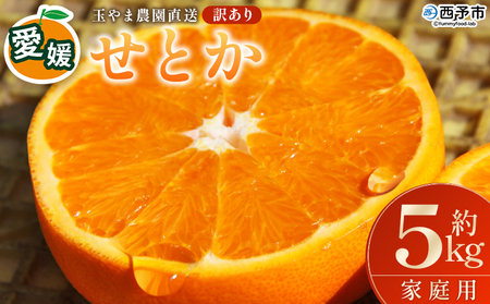 ＜【訳あり】 玉やま農園直送 せとか 家庭用 約5kg ＞ 数量限定 期間限定 5キロ みかん ミカン 蜜柑 柑橘類 フルーツ 果物 果実 くだもの 特産品 甘い ジューシー 旬 ご自宅用 訳アリ 愛媛県 西予市 【常温】『2026年3月上旬～3月下旬迄に順次出荷予定』MTN0003