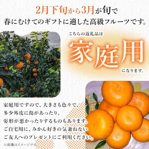 三好農園直送　愛媛県西予市産 秀逸柑橘「せとか」 家庭用　約４kg『2026年4月中旬頃より順次発送予定』MMN0010