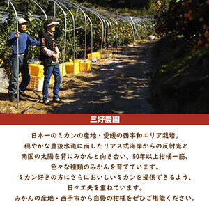 三好農園直送　愛媛県西予市産 秀逸柑橘「せとか」 家庭用　約４kg『2026年4月中旬頃より順次発送予定』MMN0010