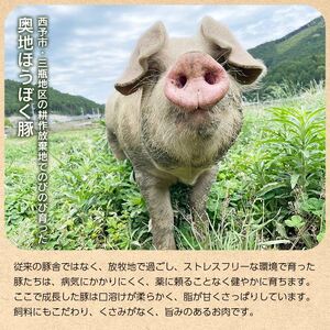 【こだわりの無塩せき】奥地ほうぼく豚を使った ベーコン・ハム 食べ比べセット MNP0002